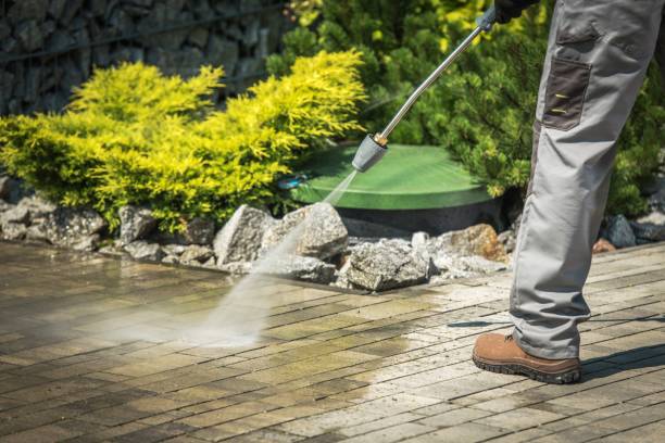 Trusted Mims, FL Pressure Washing Experts