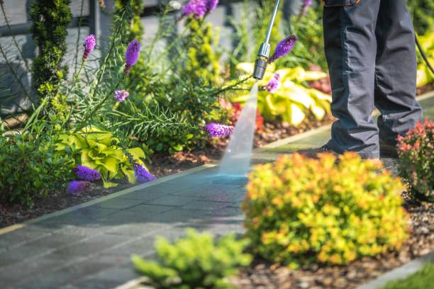 Best Dumpster Area Cleaning  in Mims, FL