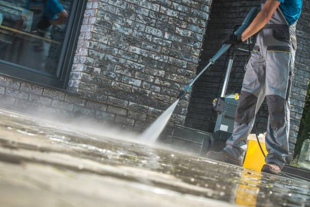 Best Soft Washing  in Mims, FL