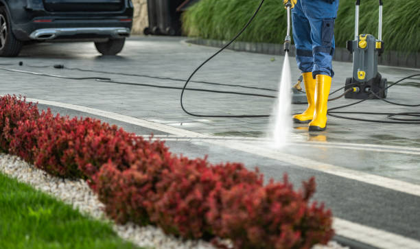 Best Building Exterior Washing  in Mims, FL