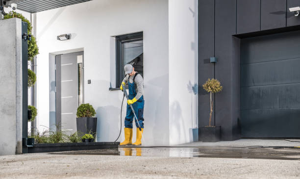 Best Pool Deck Cleaning  in Mims, FL